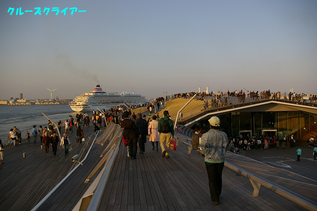 IMGP4240.jpg