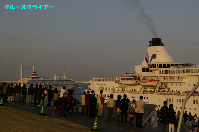 IMGP4247.jpg