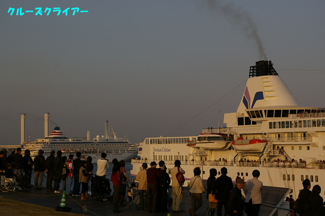 IMGP4248.jpg