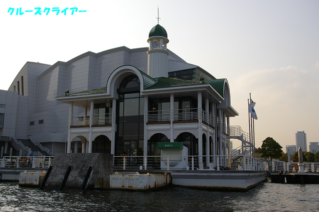 IMGP4311.jpg