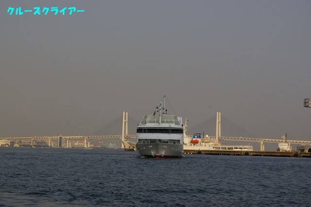 IMGP4312.jpg