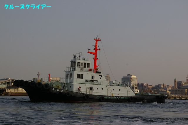 IMGP4314.jpg