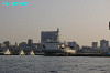 IMGP4318_thumb.jpg