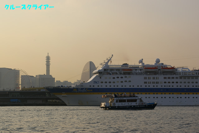 IMGP4342.jpg