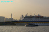 IMGP4342_thumb.jpg