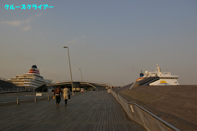 IMGP4375.jpg