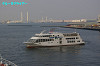 IMGP4652_thumb.jpg