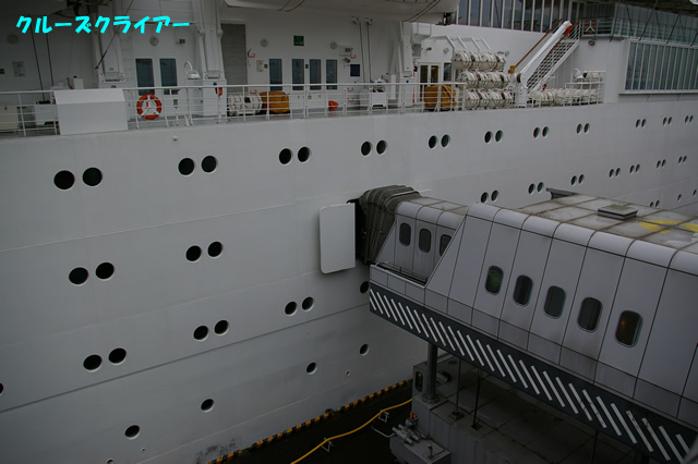 IMGP5483.jpg